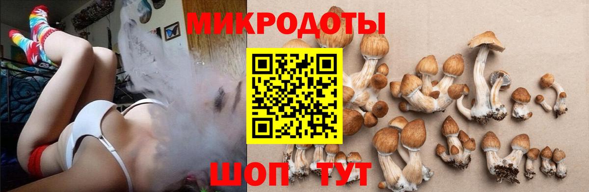 Ялта  Галлюциногенные грибы GOLDEN TEACHER  Вход с VPN 
